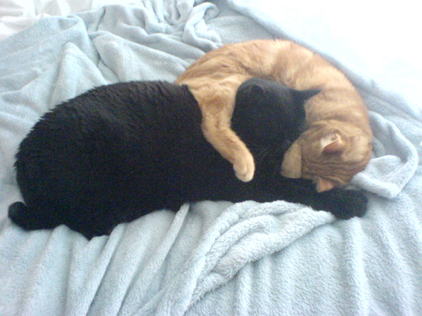 A comfy snooze!
