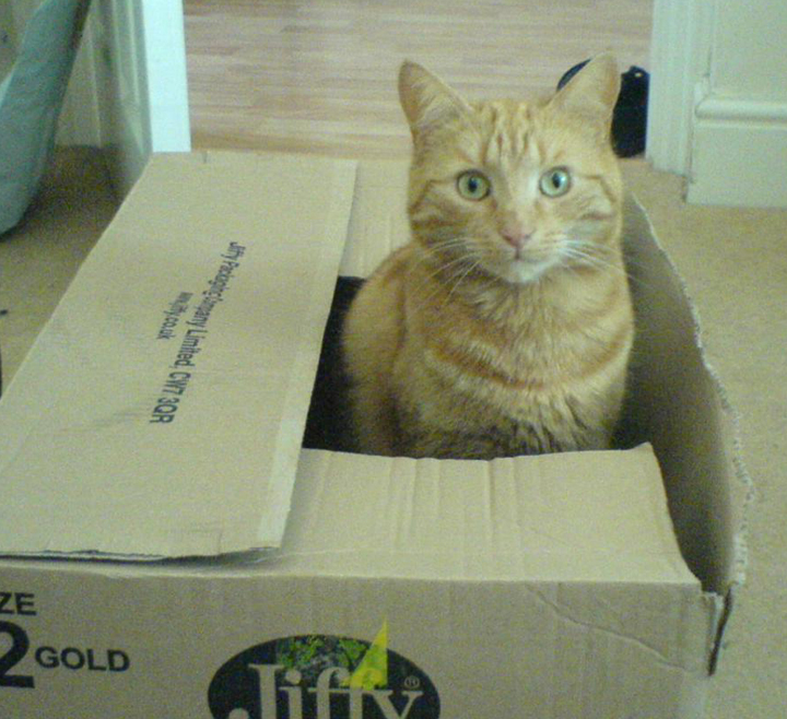 It wasn't Me!