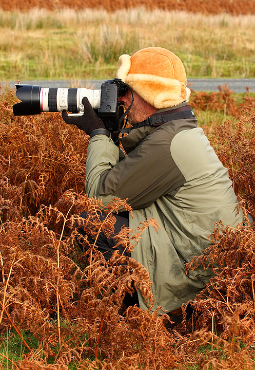 Poor Camouflage Attempt!