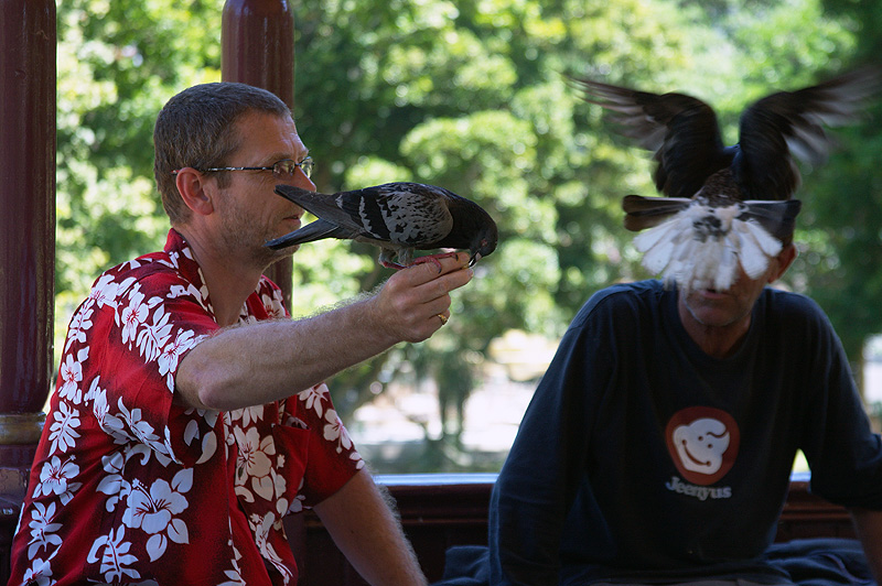 Birdman!