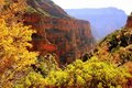 Redwall in Autumn Grand Canyon