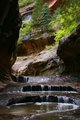 Potholes in Zion National Park Subway Canyon