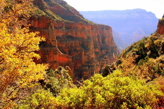Redwall in Autumn Grand Canyon