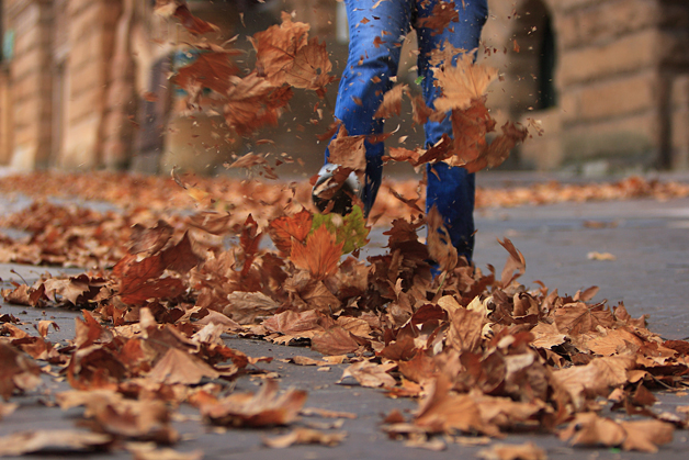 kicking leaves