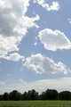 Blue Sky