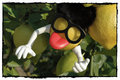 Rocker Lemon