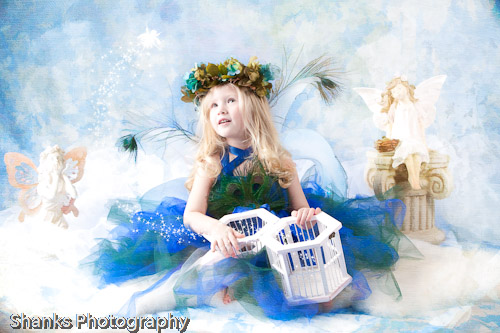 Ice Fairy
