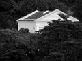 House in the woods