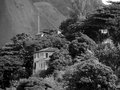 Houses in the woods