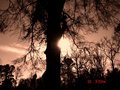 Eutaw, Alabama 034.jpg
