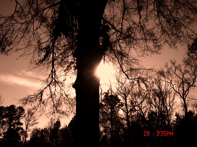 Eutaw, Alabama 034.jpg