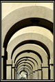 Florence Arches