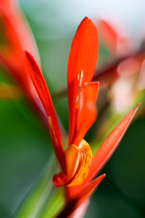 Kew Gardens