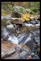 Log Bridge