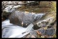 Cascade