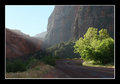 Zion Sunrise