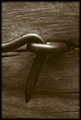 Eye Hook