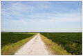 Farm Road