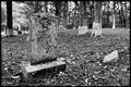 Head Stone