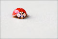 Batteries not included..