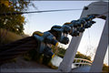 Bridge in Forest Park (pic 3)