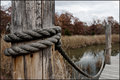 The Dock (pic 1)