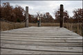 The Dock (pic 2)