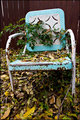 The Chair (pic 1)