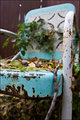The Chair (pic 3)