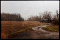 Forgotten Farmhouse