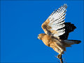 Taking Off