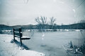 A Cold View