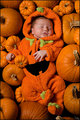 Our Little Pumpkin