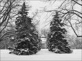 Winter at the Park