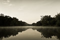 Morning on the River