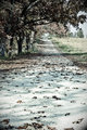The Long Road