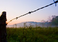 Fence line