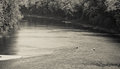 Kayakers 
