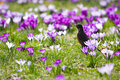 Springtime!