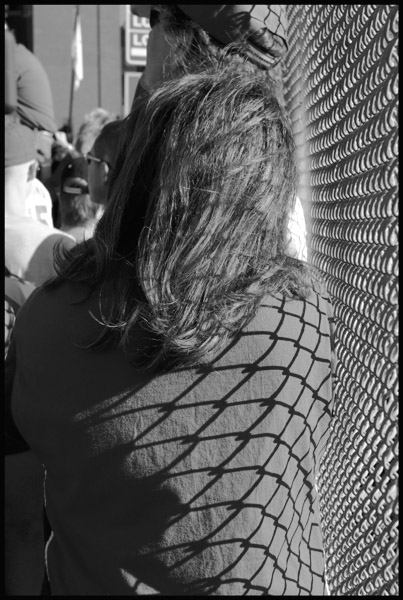 Chain Link Shadow