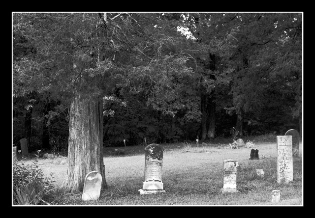 Cedar Tree Cemetary