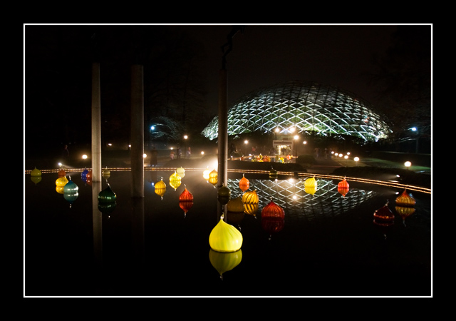 Chihuly night