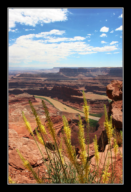 Dead Horse Point II