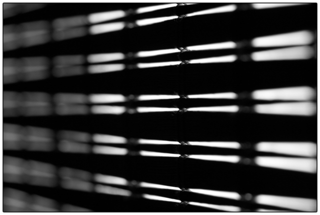 Bamboo Blinds