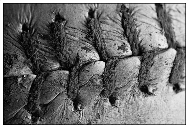 Stiches B&W