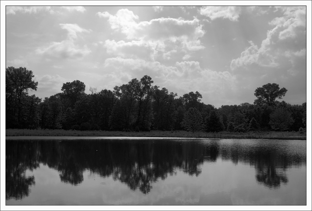 Reflection