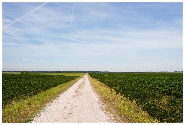 Farm Road