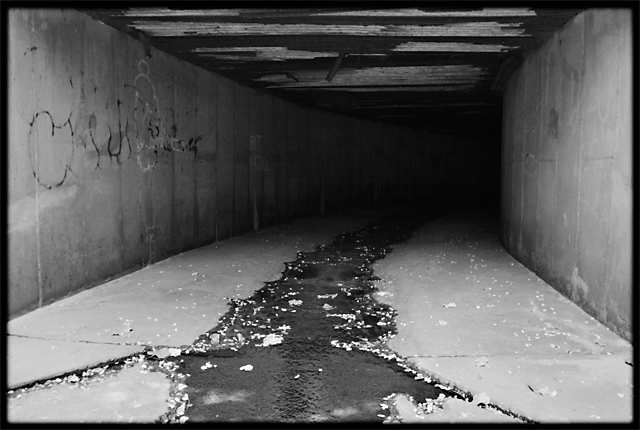 Into the Darkness