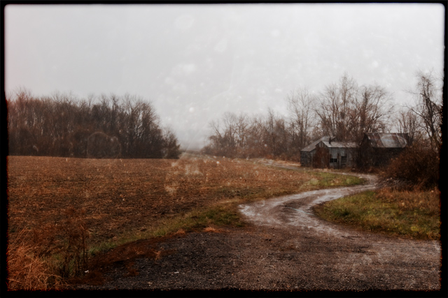 Forgotten Farmhouse
