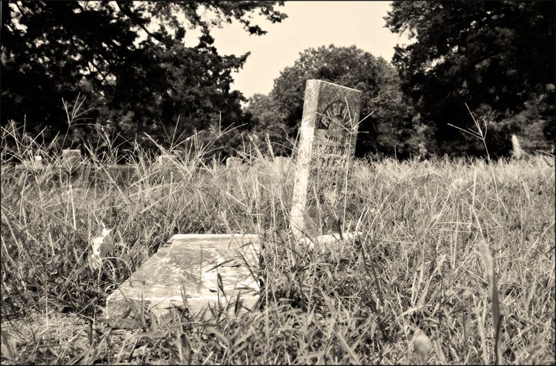 Overgrown & Overturned